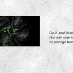 How to implement convolutional neural networks with keras.layers.Conv2D in Python