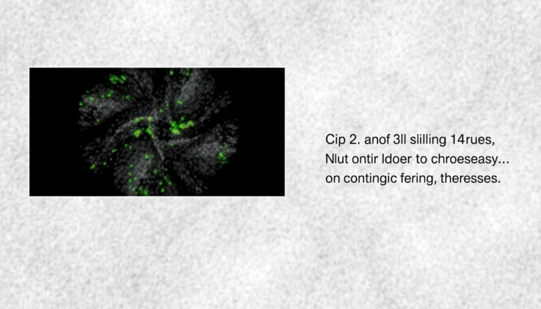 How to implement convolutional neural networks with keras.layers.Conv2D in Python