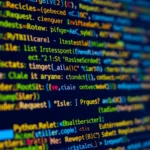 How to customize HTTP headers in Python Requests